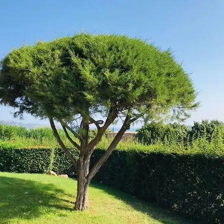 Villa Vista Mare Con Piscina San Teodoro (Sardinia)