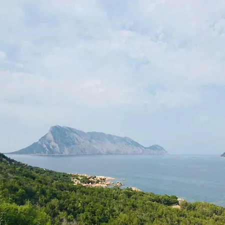 Vista Mare Con Piscina San Teodoro (Sardinia)