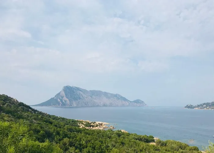 Vista Mare Con Piscina San Teodoro